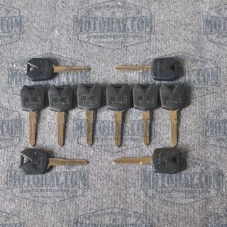 phoi-khoa-z300-ninja300-versys-x-300