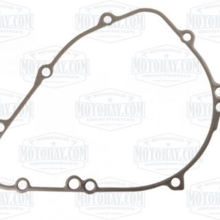 gioang-buong-dien-z900-abs-2017-2022