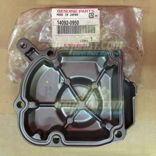 nap-che-xich-cam-z800-2015-chinh-hang