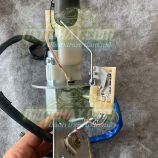 phao-xăng-z800-chinh-hang