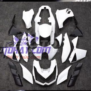 phoi-nhua-dan-ao-z1000-2010-2013