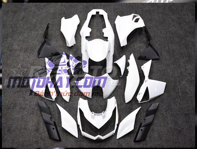 phoi-nhua-dan-ao-z1000-2010-2013