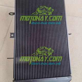 ket-nuoc-z1000-2010-2021