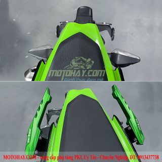 tay-dat-spirit-beast-z400-ninja400