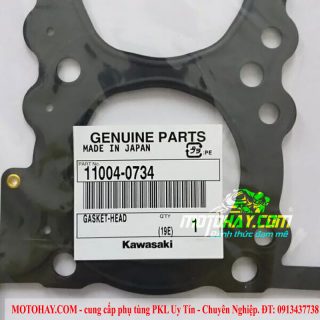 gioang-quy-lat-z300-ninja300