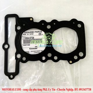 gioang-quy-lat-z300-ninja300