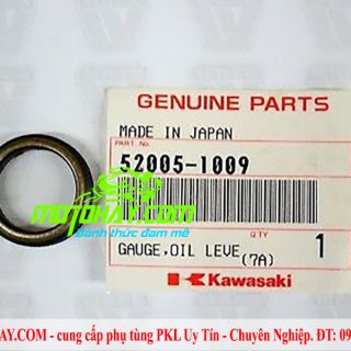 mat-doc-dau-z300-ninja300-chinh-hang