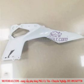 18.Phôi nhựa ốp sườn dưới trái