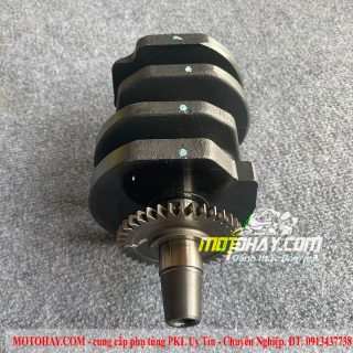 truc-co-z300-ninja300