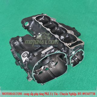 vach-may-z900-chinh-hang