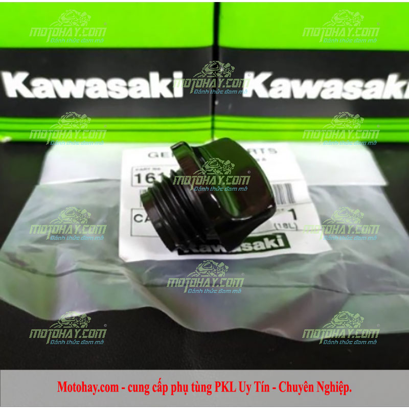 nap-nhot-klx250-z400-ninja-400-z650-ninja-650-versys-650-vulcan-s-650-z800-z900-z1000
