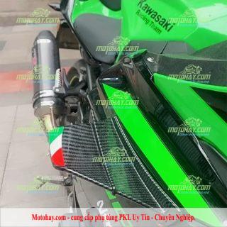 Cánh gió trang trí cho Zx4r-Zx4rr