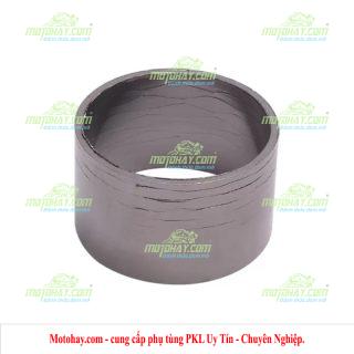 Ron đệm cổ pô Z900