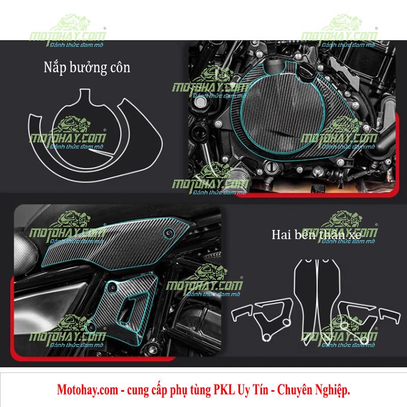 Miếng dán chống xước Eliminator 500